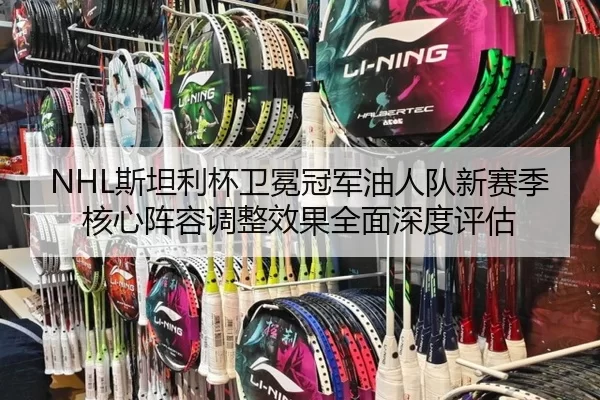 NHL斯坦利杯卫冕冠军油人队新赛季核心阵容调整效果全面深度评估
