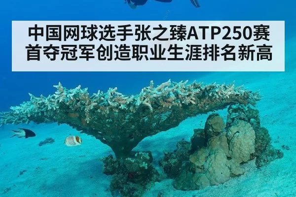 中国网球选手张之臻ATP250赛首夺冠军创造职业生涯排名新高